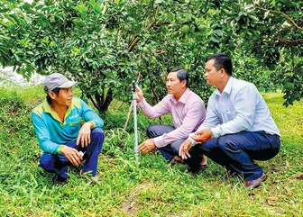 ការ​ពារ​សុ​វត្ថិ​ភាព​ដំ​ណាំ រុក្ខ​ជាតិ​ហូប​ផ្លែ​ក្នុង​រដូវ​ប្រាំង រីង​គោក