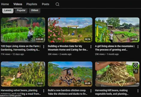 Kênh nội dung về nông thôn, đồng quê góp phần quảng bá hình ảnh Việt Nam