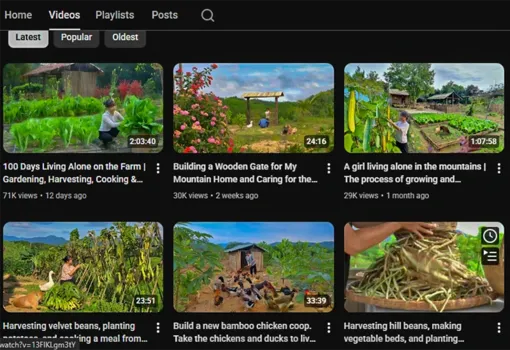 Kênh nội dung về nông thôn, đồng quê góp phần quảng bá hình ảnh Việt Nam