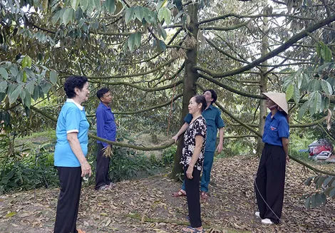 Đồng lòng xây dựng khu dân cư phát triển