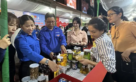 Cần Thơ phấn đấu thuộc nhóm 10 địa phương dẫn đầu về chỉ số đổi mới sáng tạo cấp địa phương