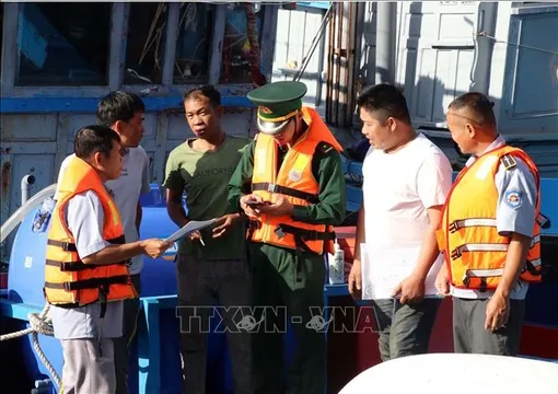 "Số hóa" nghề cá giúp nâng cao hiệu quả kinh tế biển