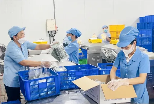 Trợ lực thúc đẩy chuyển đổi số cho doanh nghiệp nhỏ và vừa