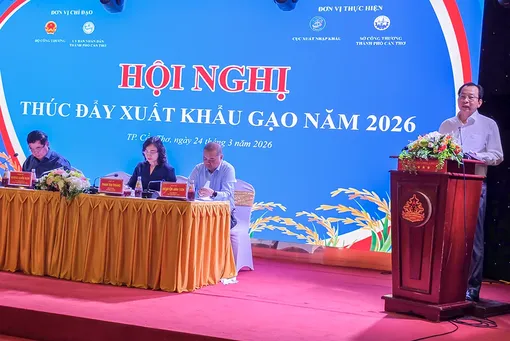 Bàn giải pháp thúc đẩy xuất khẩu gạo năm 2026
