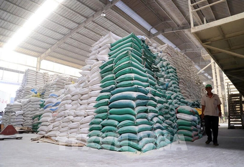 Can Tho to host 2026 rice export promotion conference on March 24