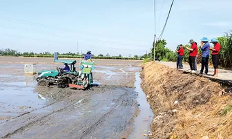 Giảm chi phí sản xuất lúa bằng nhiều giải pháp đồng bộ