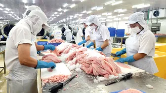 "Làm giàu" hệ sinh thái dữ liệu, thúc đẩy phát triển thị trường nước ngoài