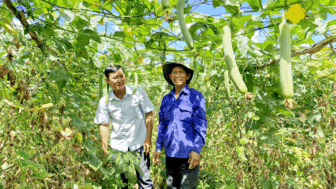 កសិ​ករ​ខ្មែរ​អនុ​វត្ត​វិទ្យា​សាស្ត្រ​បច្ចេក​ទេស​ក្នុង​ការ​ផលិត