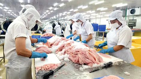 "Làm giàu" hệ sinh thái dữ liệu, thúc đẩy phát triển thị trường nước ngoài