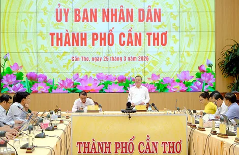 Bàn giải pháp thúc đẩy khoa học công nghệ, đổi mới sáng tạo, chuyển đổi số cho thành phố