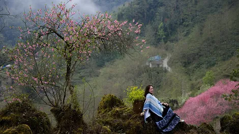 Du lịch Hà Giang tự túc là gì? Nên chọn đi du lịch Hà Giang tự túc hay đi tour du lịch Hà Giang trọn gói?