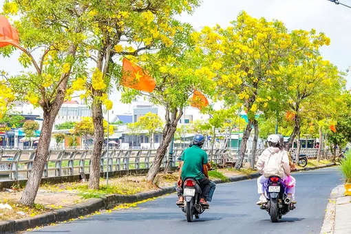 Cần Thơ xanh - Nhìn từ những tuyến đường hoa