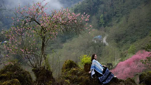 Du lịch Hà Giang tự túc là gì? Nên chọn đi du lịch Hà Giang tự túc hay đi tour du lịch Hà Giang trọn gói?