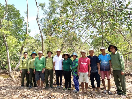 Khảo sát các cánh rừng phòng hộ ven biển