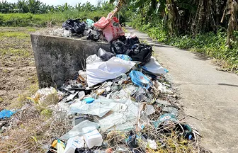 Hố chứa bao bì thuốc bảo vệ thực vật biến thành điểm vứt rác thải
