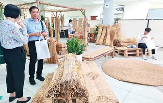 Chuyển đổi sinh kế, thích ứng với biến đổi khí hậu từ cây trồng bản địa