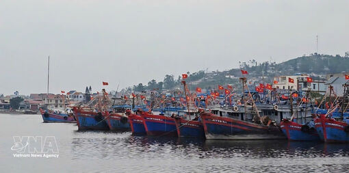 Thanh Hoa ramps up investment to modernise fishing ports