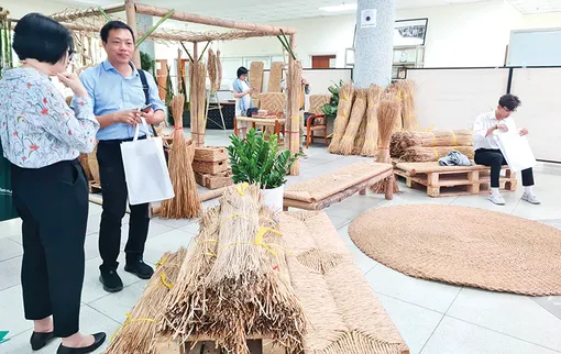 Chuyển đổi sinh kế, thích ứng với biến đổi khí hậu từ cây trồng bản địa