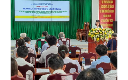 Thúc đẩy phát triển vùng lúa chất lượng cao và phát thải thấp