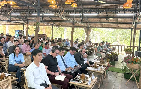 Giải pháp thuận thiên thích ứng với biến đổi khí hậu tại ĐBSCL