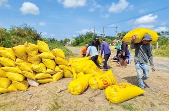 "Vượt cơn gió ngược..."
