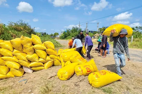 "Vượt cơn gió ngược..."