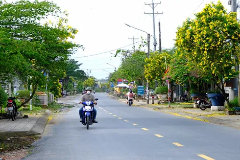 Cần Thơ phân cấp phê duyệt quy hoạch cho cấp xã