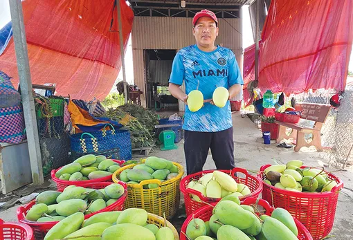 Dạo quanh thị trường