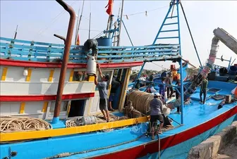 Ngư dân, doanh nghiệp xoay xở trước biến động giá nhiên liệu