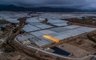 “Vườn rau châu Âu” - mạng lưới nhà kính lớn nhất thế giới