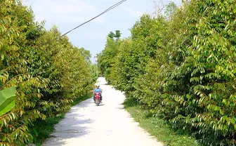 ទ្រឿង​ថាញ់​ពង្រីក​សក្តា​នុភាព​ភូមិ​ភាគ​ផ្សារ​ភ្ជាប់​ជា​មួយ​ការ​ផ្លាស់​ថ្មី​ទិដ្ឋ​ភាព​ជន​បទ