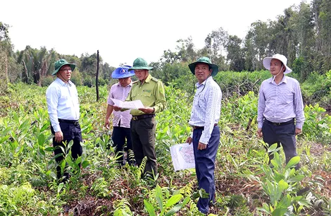 Lãnh đạo thành phố kiểm tra công tác phòng cháy, chữa cháy rừng tại Phân trường Thạnh Trị