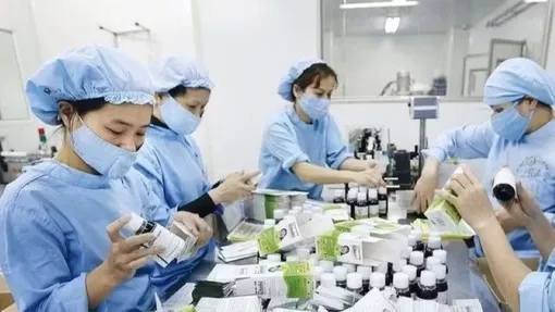 Ban hành quy trình mới về cấp Giấy chứng nhận cơ sở đủ điều kiện an toàn thực phẩm đạt yêu cầu Thực hành sản xuất tốt thực phẩm bảo vệ sức khỏe