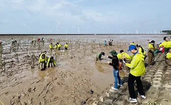 Huy động nguồn tài chính xanh, mở cơ hội gia nhập thị trường carbon quốc tế