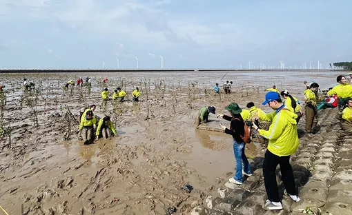 Huy động nguồn tài chính xanh, mở cơ hội gia nhập thị trường carbon quốc tế