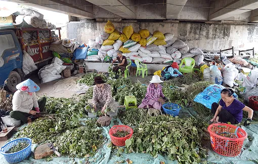 Niềm vui làm việc thiện của U80