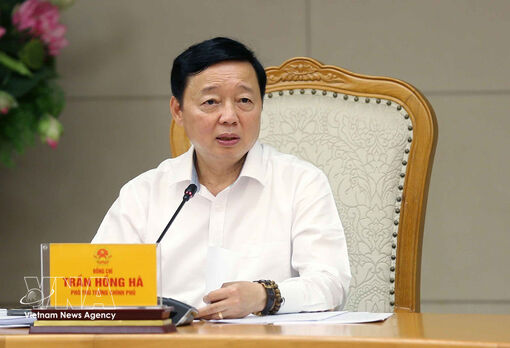 Vietnam steps up crackdown on IUU fishing, implementation of EC recommendations