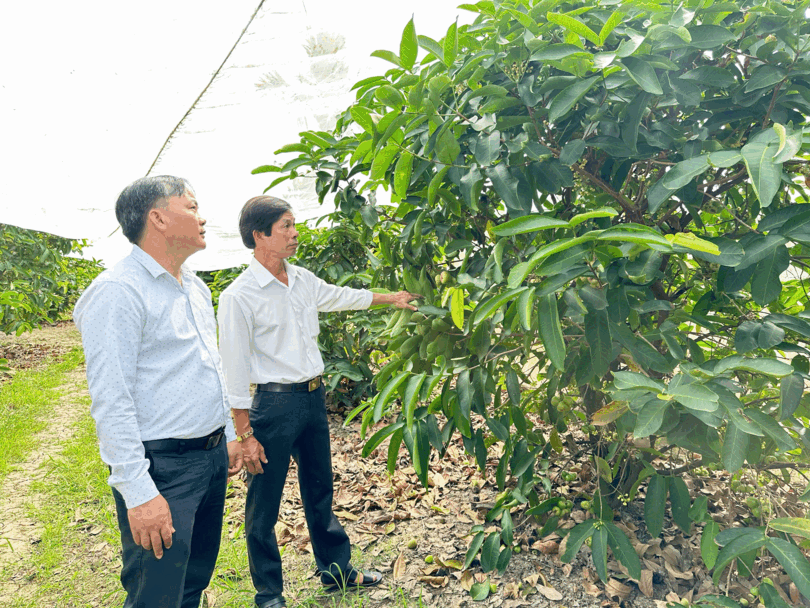 អនុ​វត្ត​វិទ្យា​សាស្រ្ត - បច្ចេក​ទេស ជួយ​លើក​កម្ពស់​តម្លៃ​កសិ​ផល