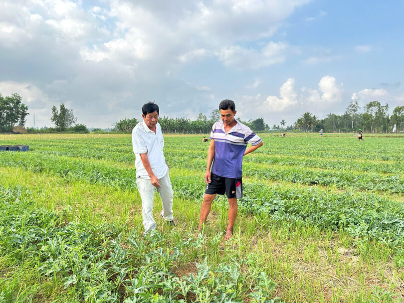 កសិ​ករ​ដាំ​ដំ​ណាំ​បម្រើ​ទី​ផ្សារ​ក្នុង​ឱកាស​បុណ្យ​ចូល​ឆ្នាំ​ថ្មី​