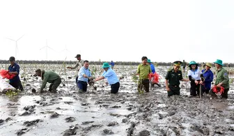 Cần Thơ phát động trồng rừng ngập mặn khắc phục hậu quả thiên tai