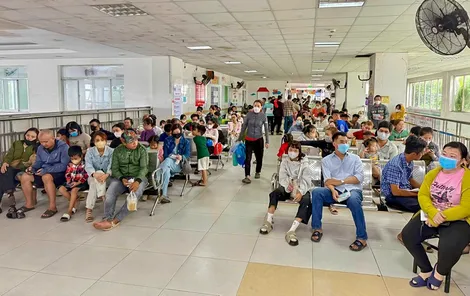 Cảnh báo bệnh sốt xuất huyết và tay chân miệng gia tăng