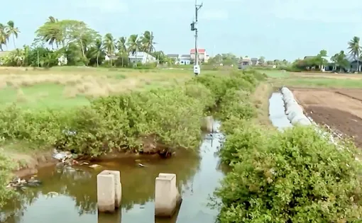 Cần sớm gỡ “nút thắt” cho vùng chuyên canh màu Vĩnh Hải