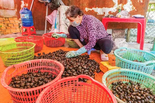 Dạo quanh thị trường