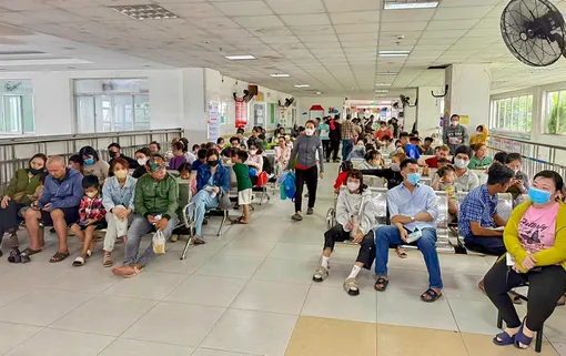 Cảnh báo bệnh sốt xuất huyết và tay chân miệng gia tăng