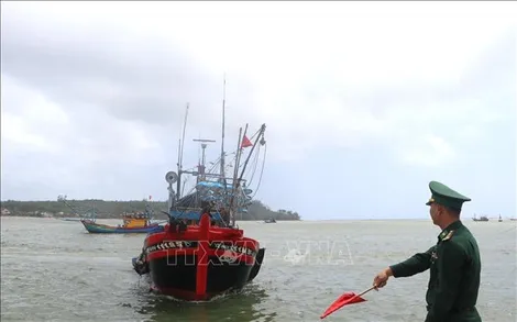 Bộ NN&MT yêu cầu tăng truy xuất nguồn gốc thủy sản khai thác điện tử