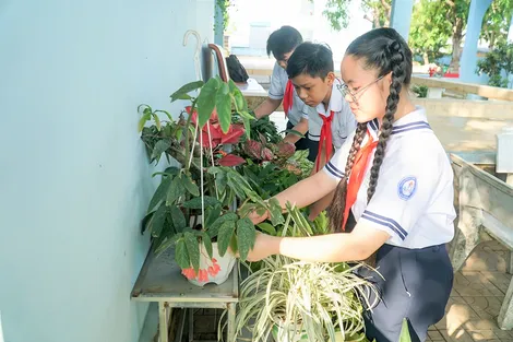 Hỗ trợ học sinh phát triển toàn diện