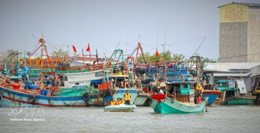 Quang Ninh intensifies anti-IUU fishing efforts to meet EC’s requirements