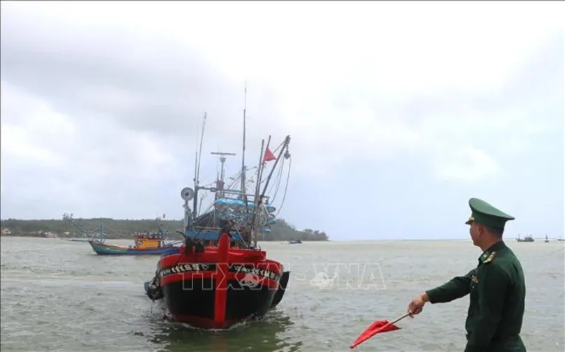 Bộ NN&MT yêu cầu tăng truy xuất nguồn gốc thủy sản khai thác điện tử