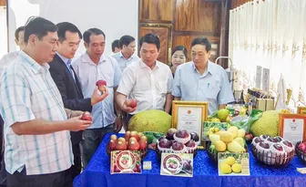 Kết nối đưa sản phẩm OCOP, nông sản đặc trưng TP Cần Thơ tiêu thụ tại khu du lịch