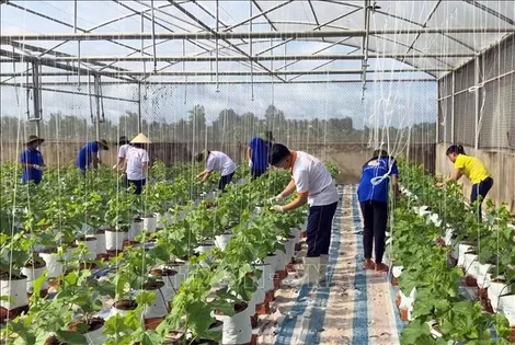 Thúc đẩy phát triển nông nghiệp, nông thôn bền vững